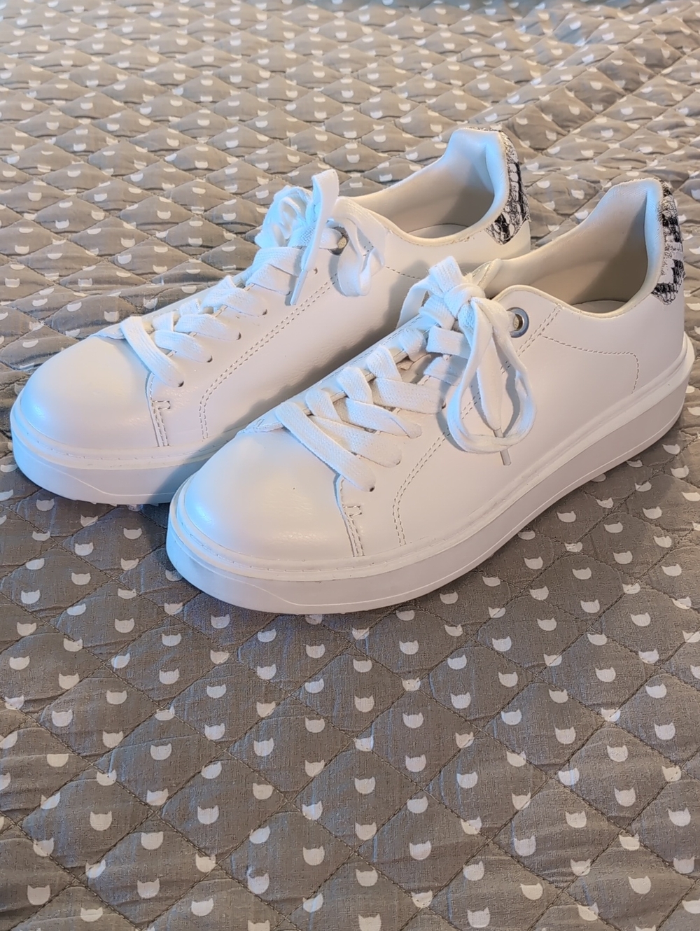 Steve Madden Catcher Women's White /Snake Print Lace-up Sneakers,9M.